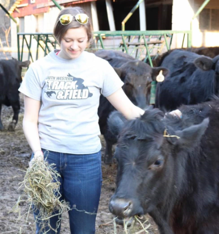 Hanover PA Glenville PA local organic beef, calf, steer, 1/4 1/2 or whole cow, hereford, angus, alfalfa hay, orchard grass, straw, seasoned, hard wood, firewood, Lucabaugh's, Lucabaughs Hay and Beef