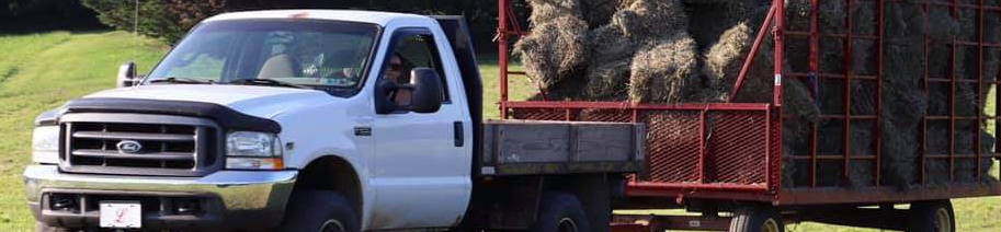 Hanover PA Glenville PA local organic beef, calf, steer, 1/4 1/2 or whole cow, hereford, angus, alfalfa hay, orchard grass, straw, seasoned, hard wood, firewood, Lucabaugh's, Lucabaughs Hay and Beef