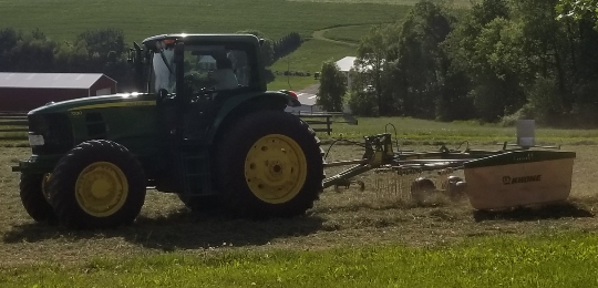 Hanover PA Glenville PA local organic beef, calf, steer, 1/4 1/2 or whole cow, hereford, angus, alfalfa hay, orchard grass, straw, seasoned, hard wood, firewood, Lucabaugh's, Lucabaughs Hay and Beef